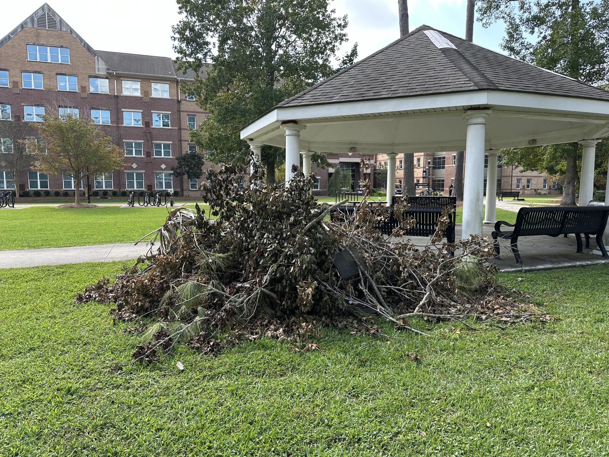 East Georgia State College students sheltering at Armstrong