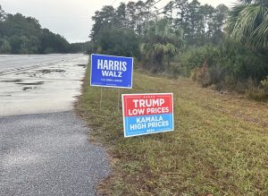 Harris and Trump campaign signs near Islands Library, an early voting location for the 2024 election