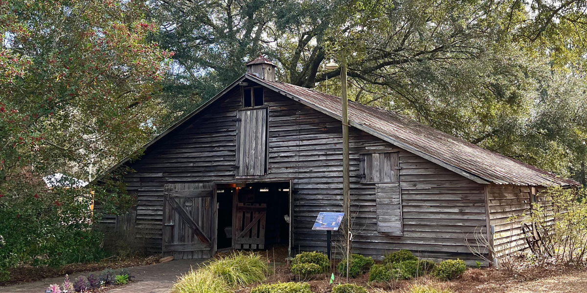 A Living Museum - The Botanic Garden at Georgia Southern University