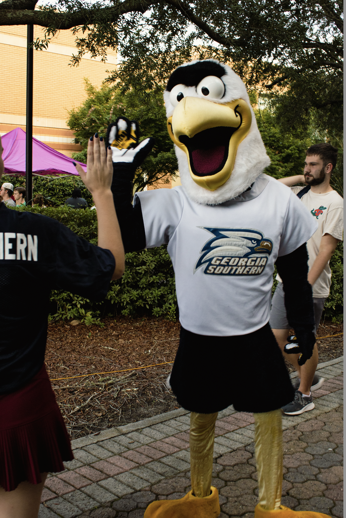 Welcome to the Nest Recap
