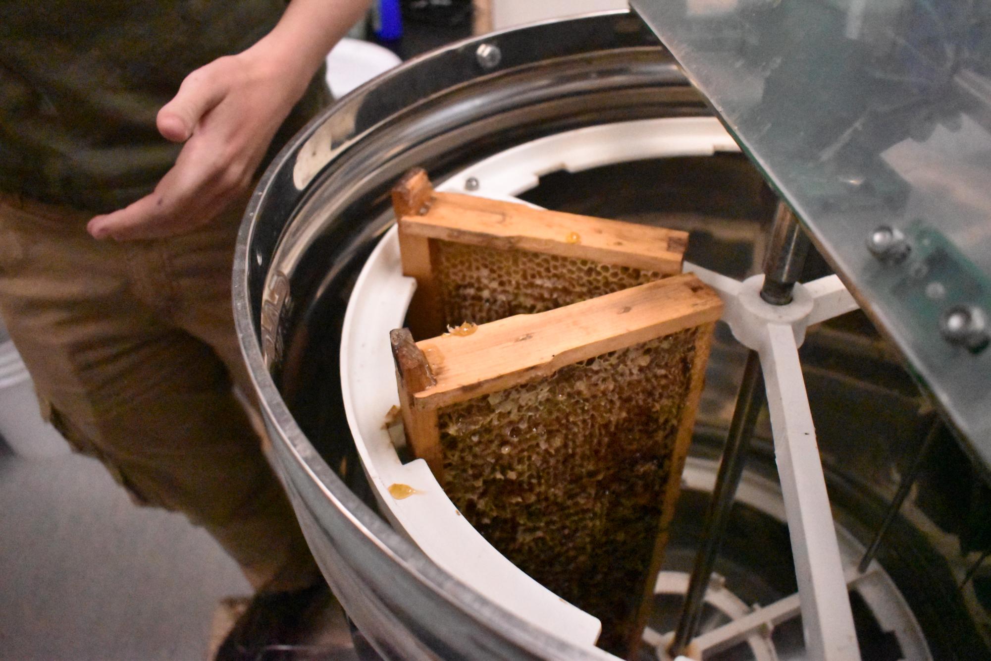 Armstrong Eco Advocates Harvest Honey from Campus Hives