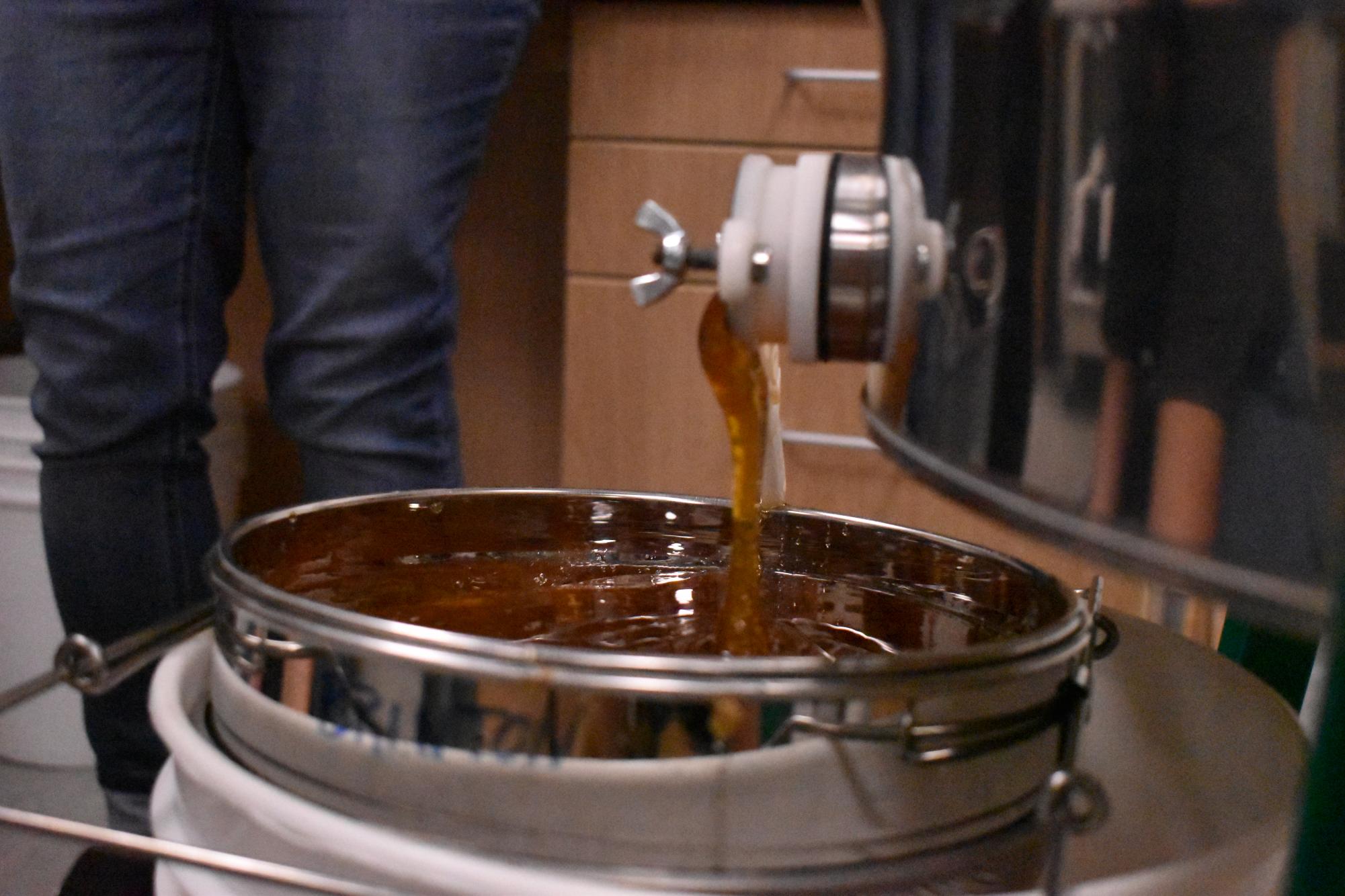 Armstrong Eco Advocates Harvest Honey from Campus Hives