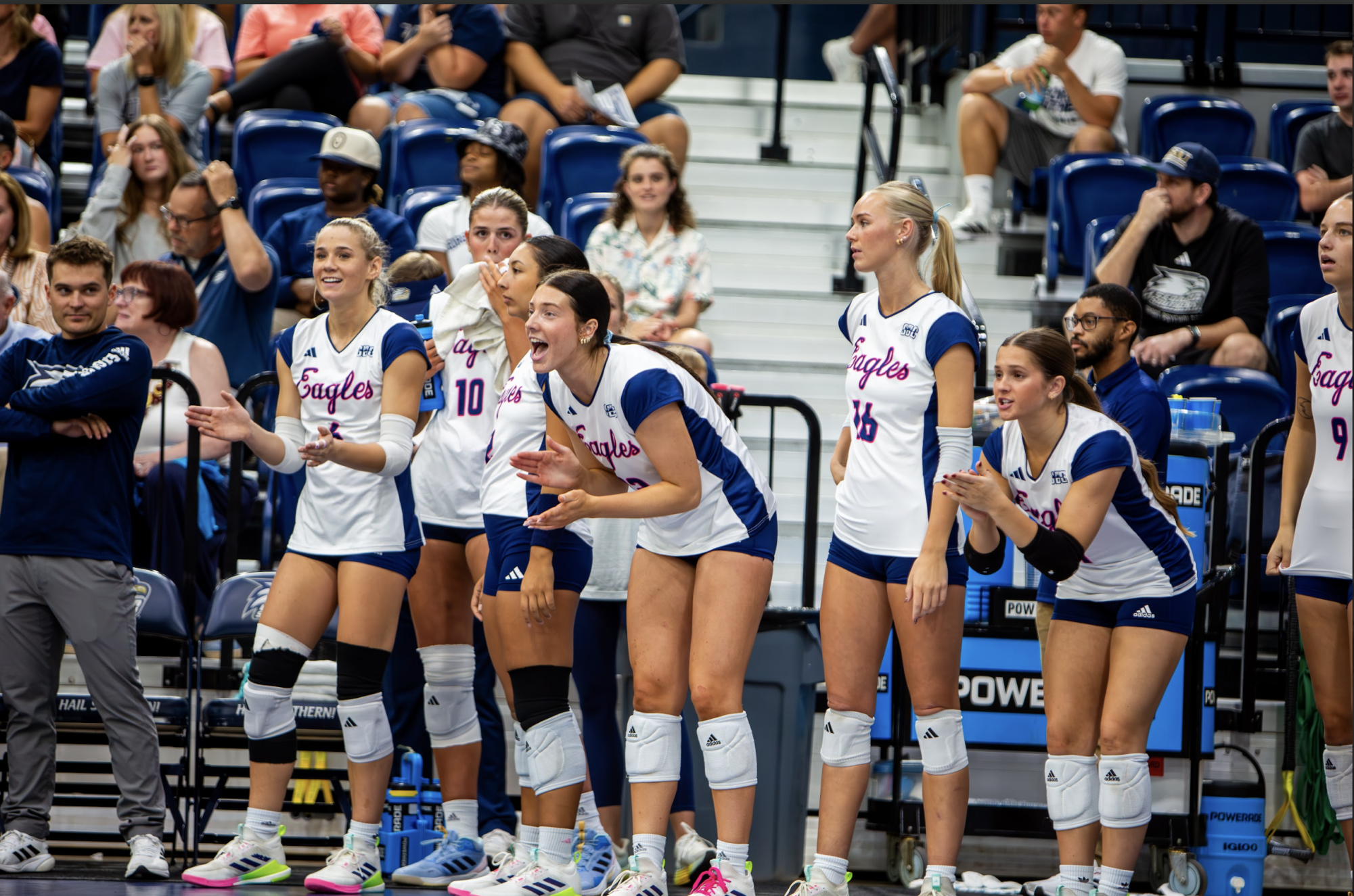 Georgia Southern Volleyball Falls to Florida State University