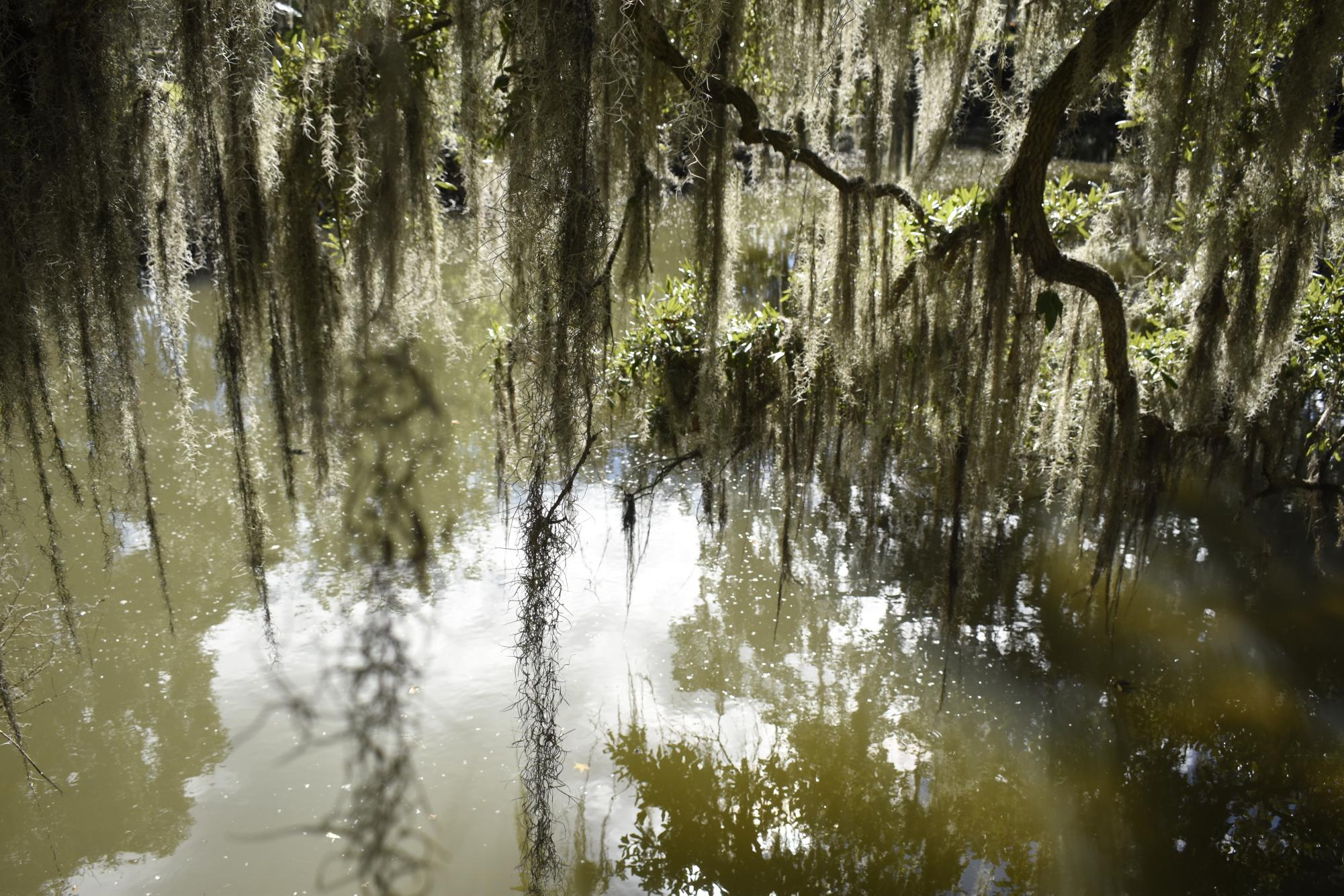 EPA Proposes Rule That Would Reduce Protections for Wetlands 