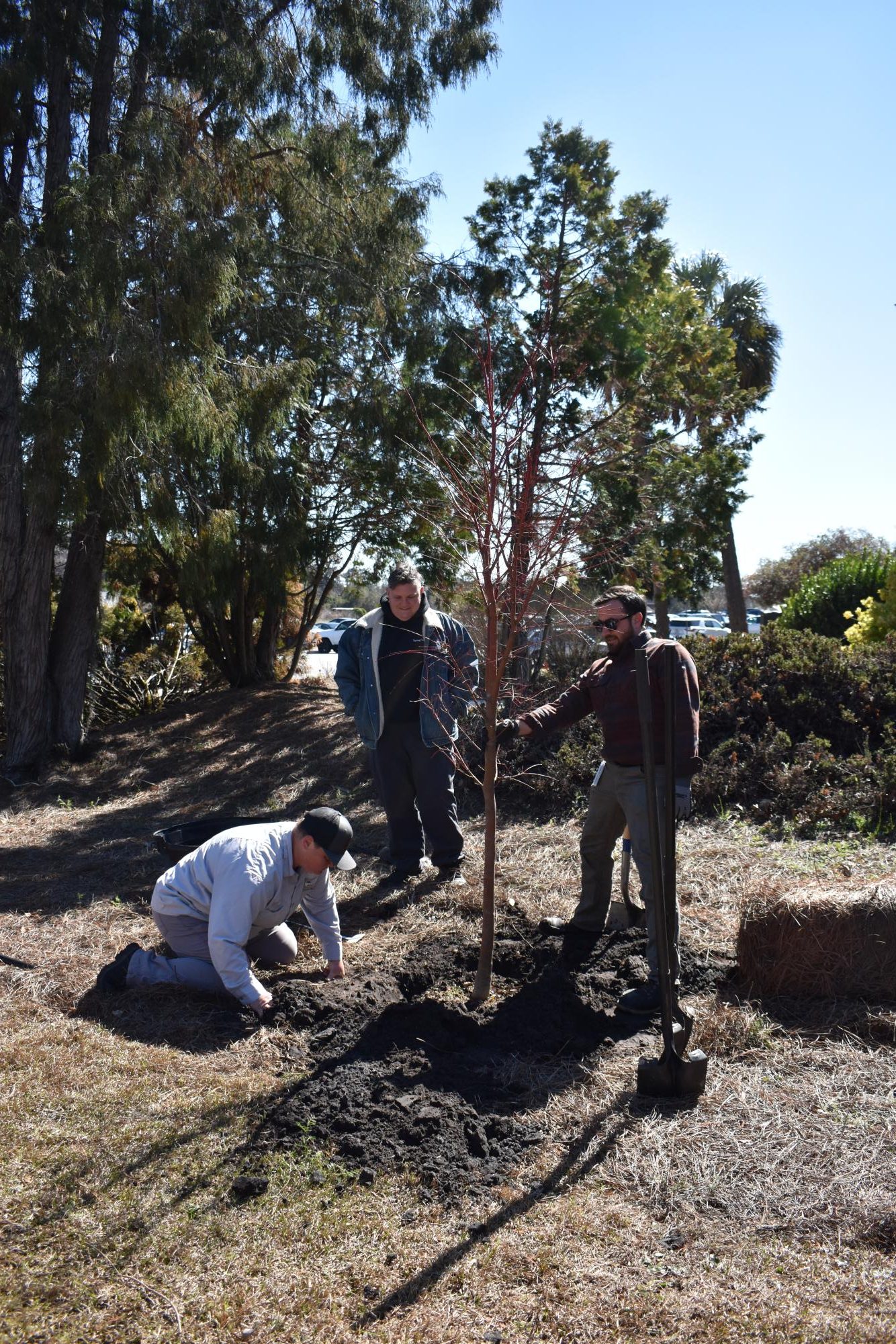 Georgia Arbor Day 2026: Tree-Planting Photogallery