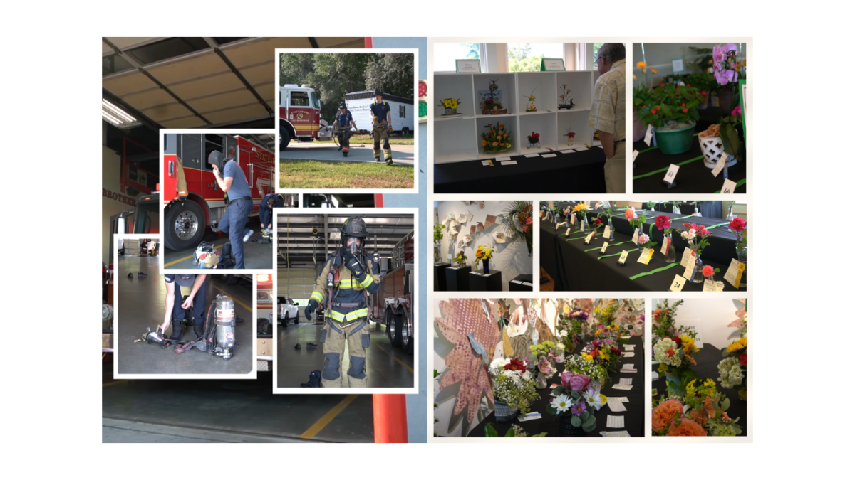 Your Newsroom By The Week: 4/29