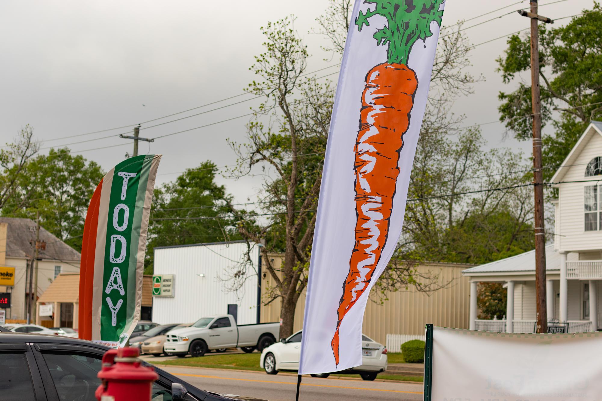 A Day at the Statesboro Farmer's Market