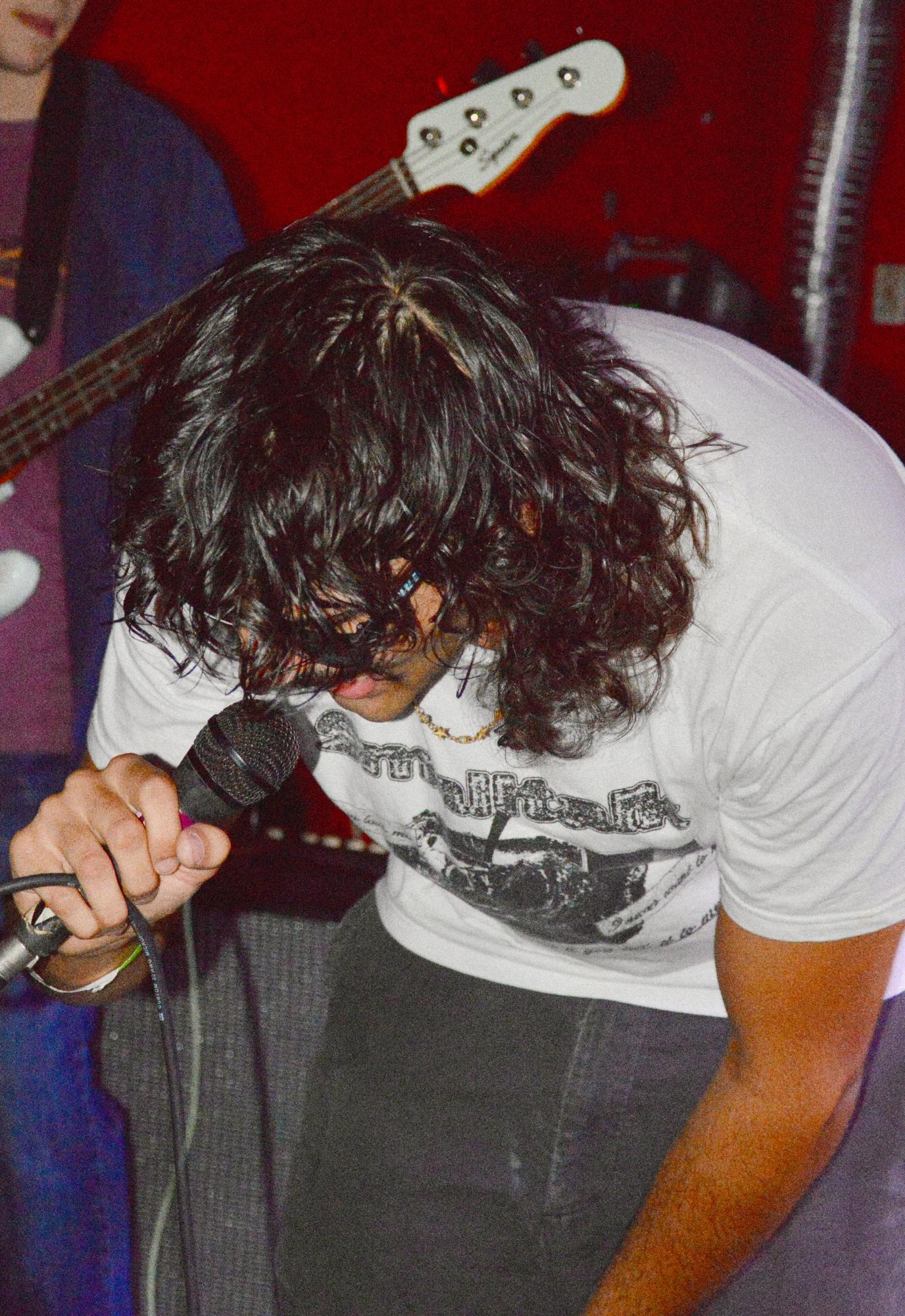 Wired into the Scene with Illicit Vision: Sounds of Savannah