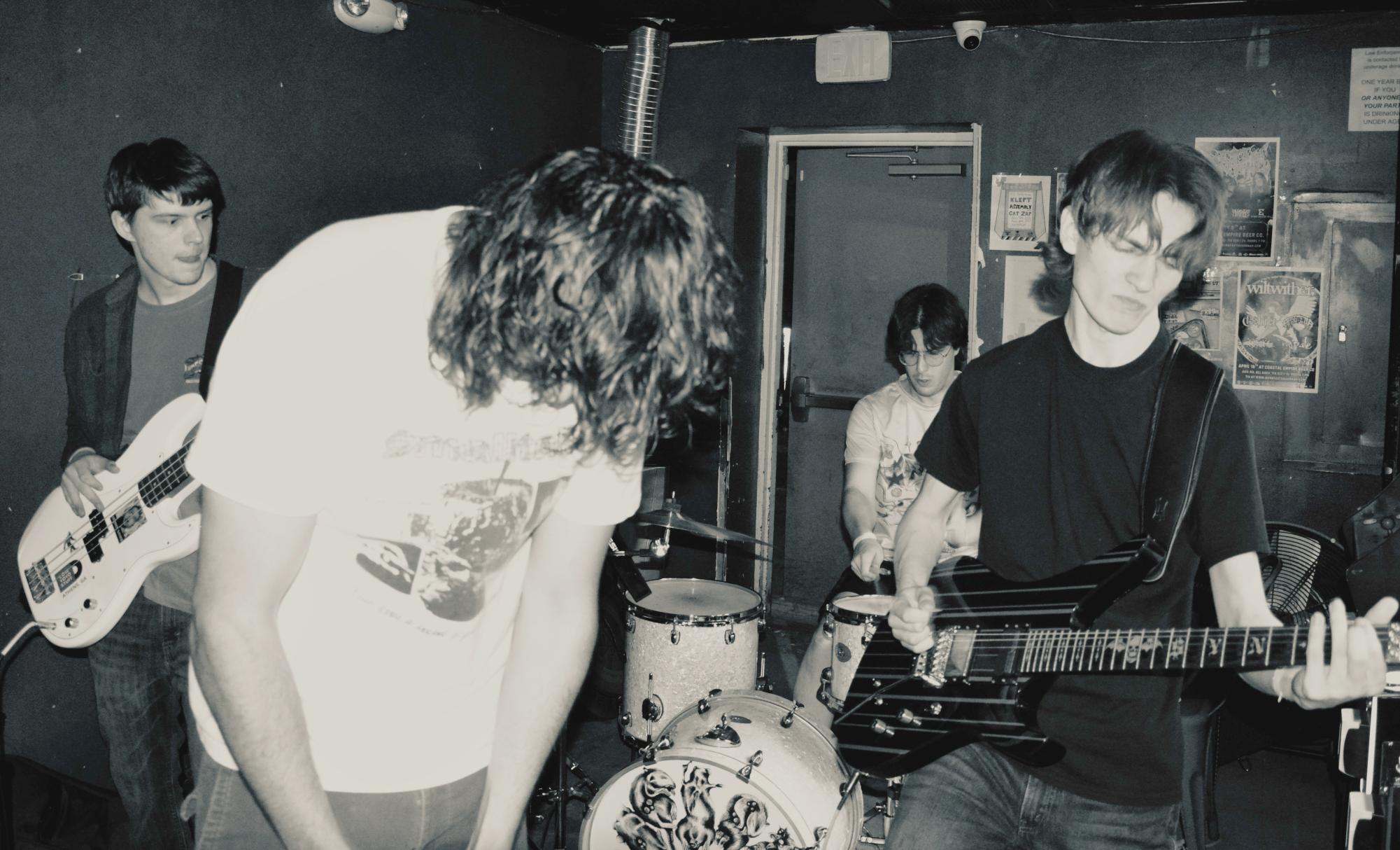 Wired into the Scene with Illicit Vision: Sounds of Savannah