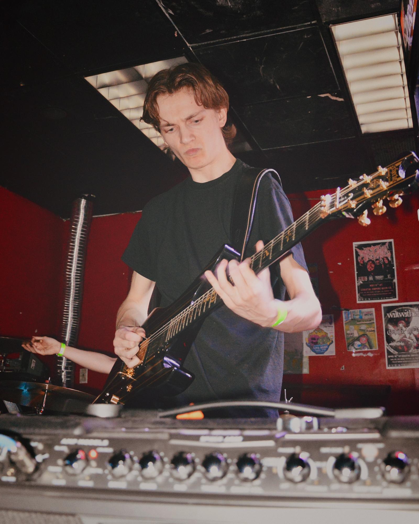 Wired into the Scene with Illicit Vision: Sounds of Savannah