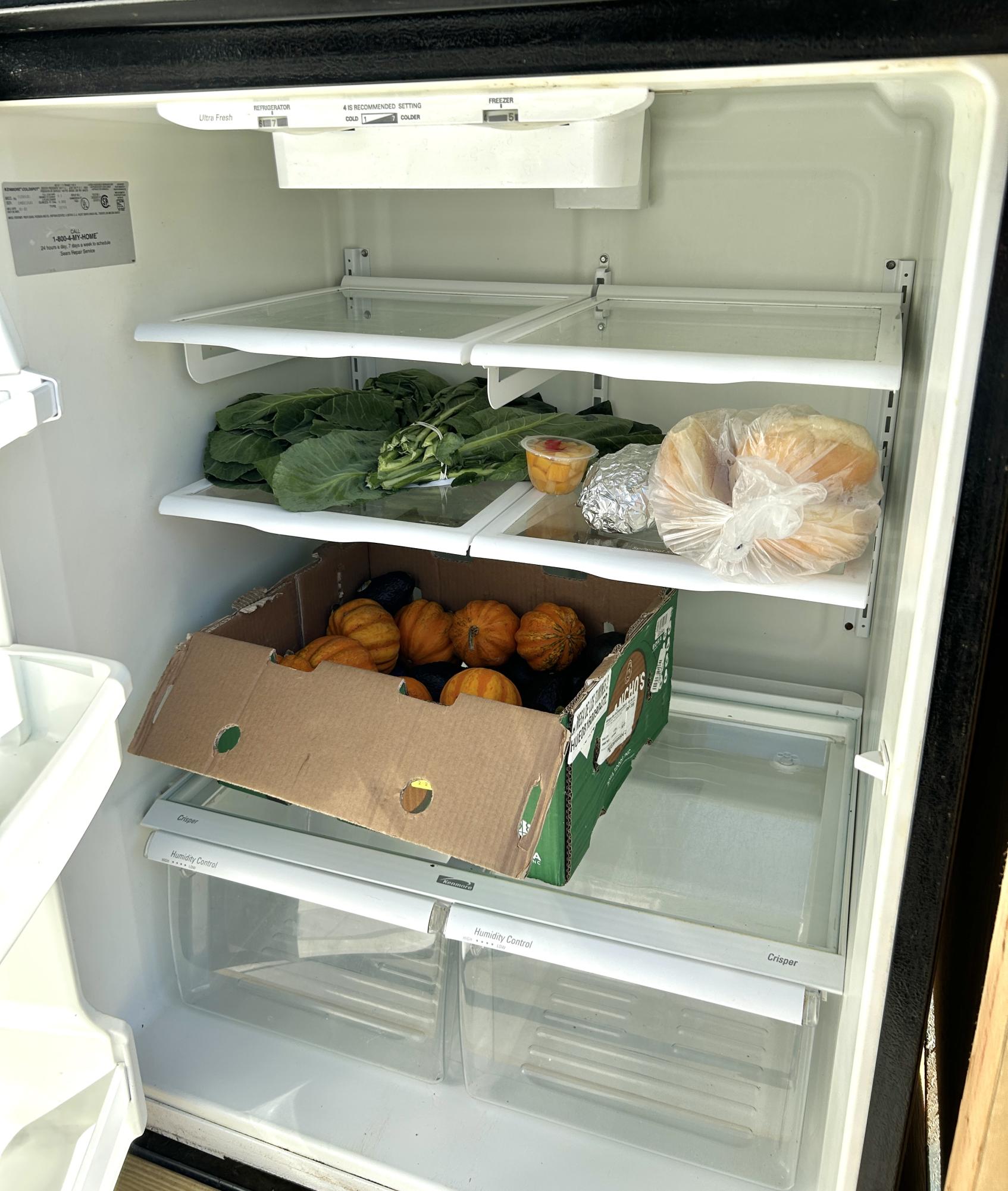 How Savannah Urbanist Society’s Community Fridge is Inspiring Mutual Aid (OP-ED)